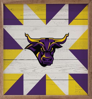 Quilt Mascot Minnesota State University Mankato
